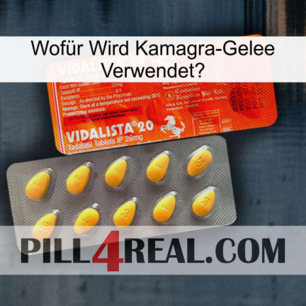 Wofür Wird Kamagra-Gelee Verwendet0 new01